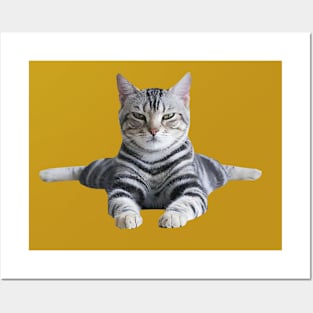 Cat Posters and Art